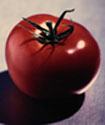 eat something sexy aphrodisiac foods